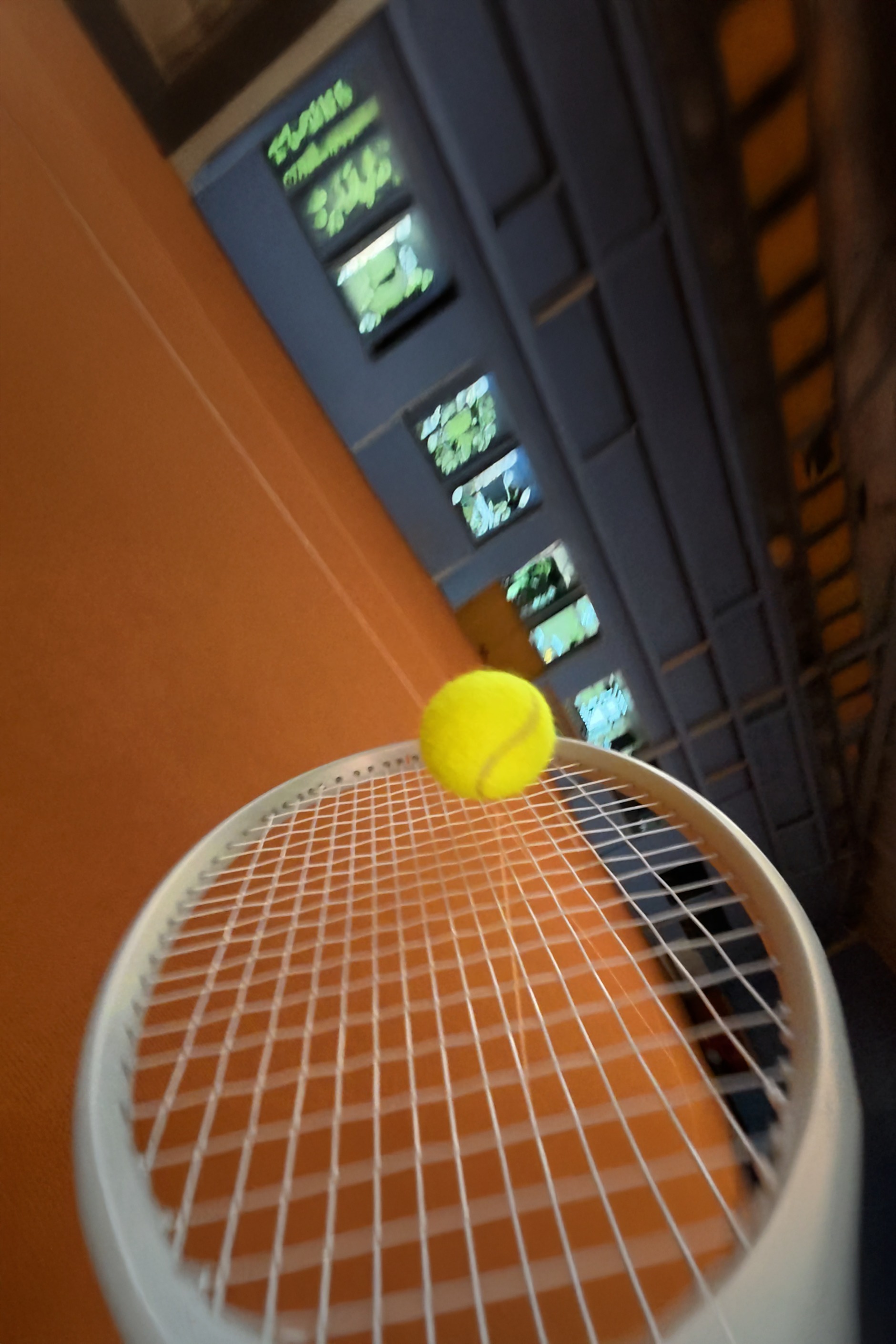 Tennis Samurai — Aufnahme rechts